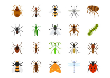 Image for event: Story Time: Bugs, Bugs, Bugs