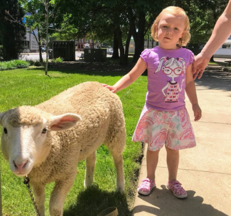 Image for event: Spring Mist Farms Petting Zoo